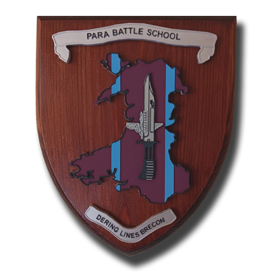 PARA BATTLE SCHOOL - DERING LINES BRECON