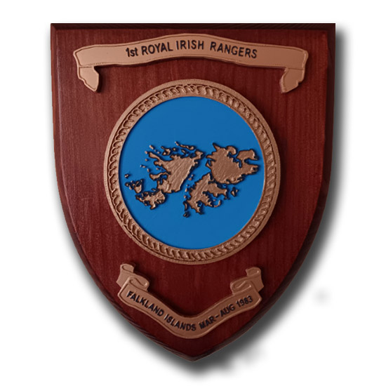 FALKLANDS VETERAN - ANY REGIMENT