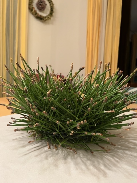 Objekt aus Piniennadeln (00057)