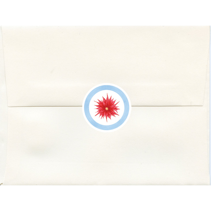 Chicago Flag Field with Leaves