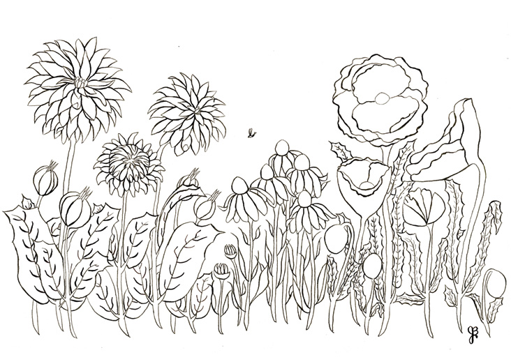 Dahlias & Poppies Coloring Page Postcard