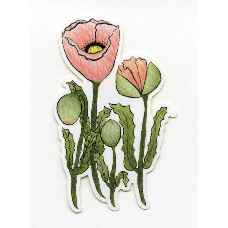 Peach Poppies Sticker