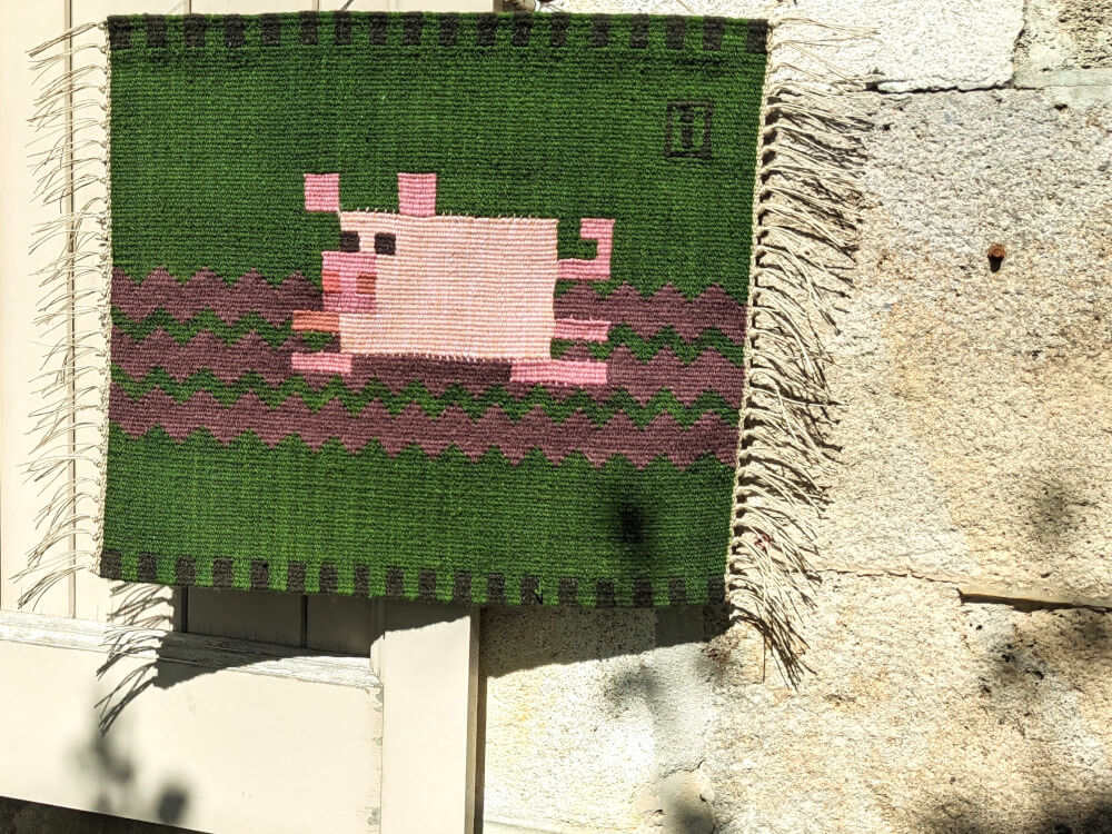 Petit cochon dans la boue 2