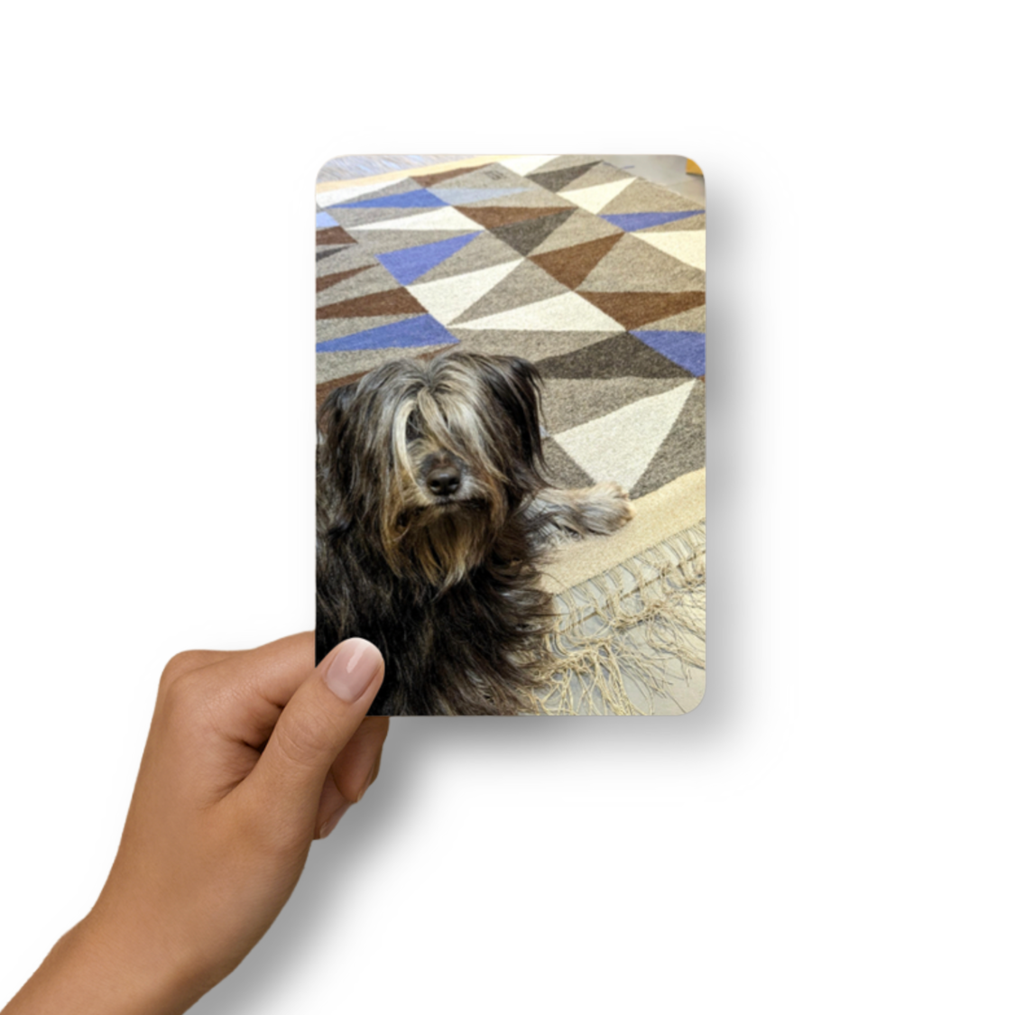 Carte postale "Triangles & Toto" – création Atelier LA TRAME