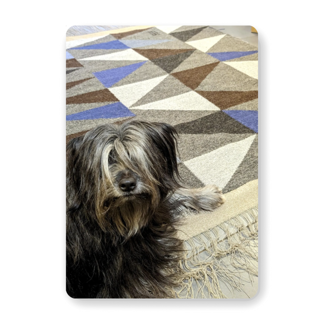 Carte postale "Triangles & Toto" – création Atelier LA TRAME