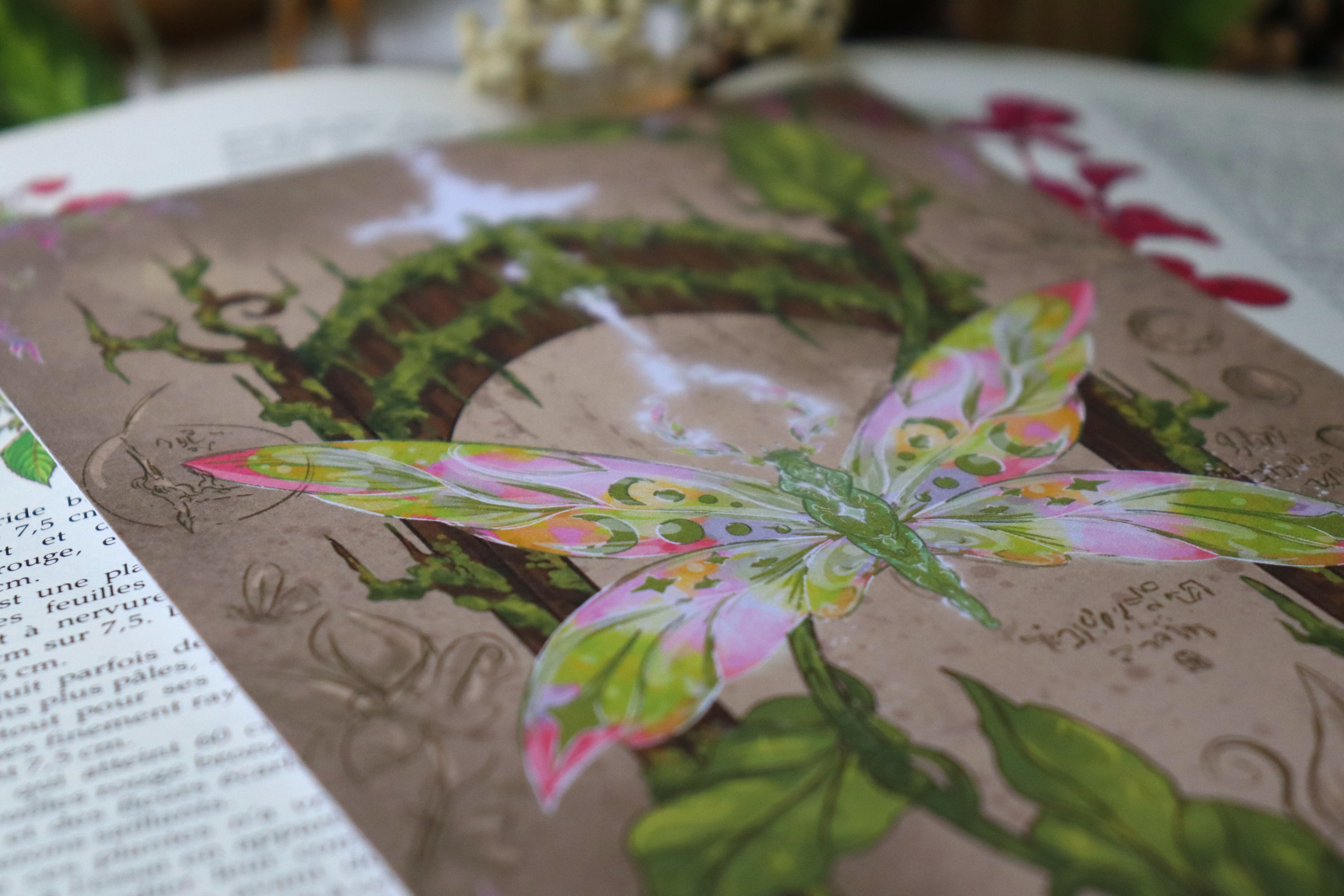 Illustration carnet 