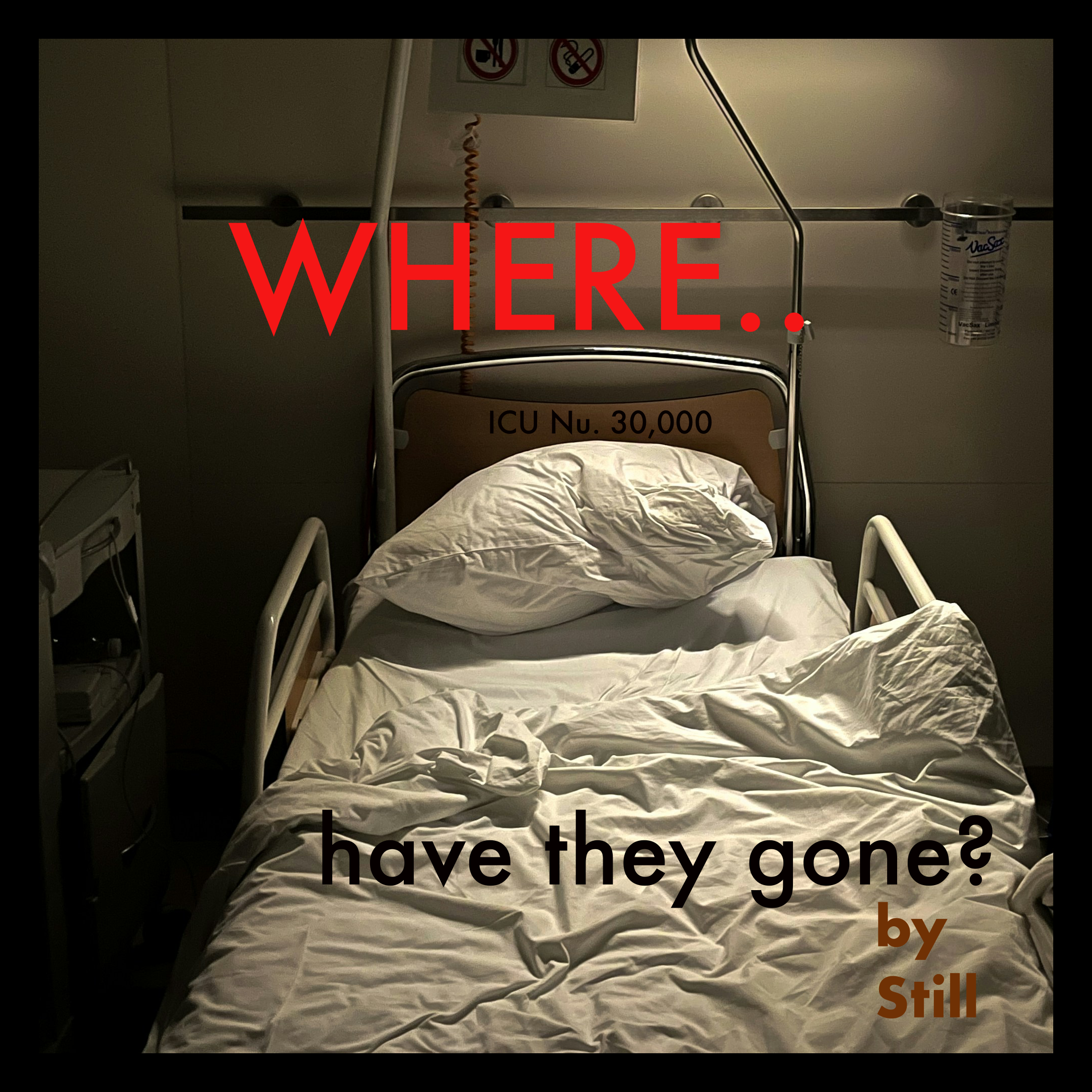 WHERE have they gone?