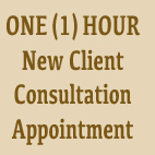 1 hr Appointment - Consultation - Remote (Phone or Zoom)