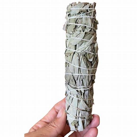 UN SAHUMERIO DE SALVIA (1 UNIDAD)