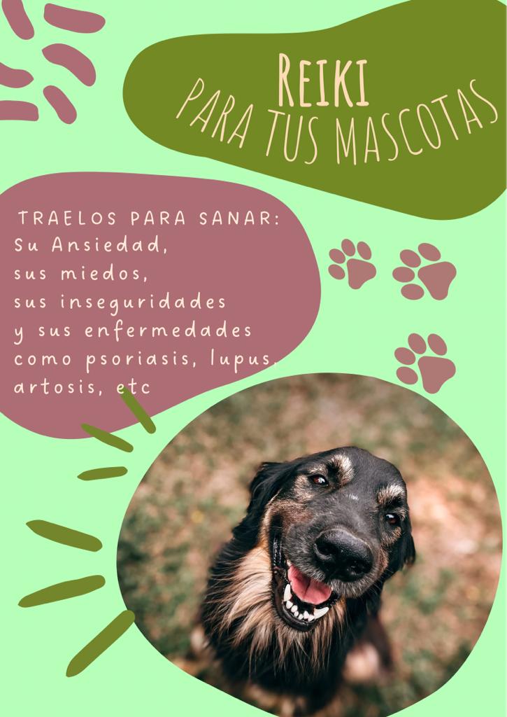 REIKI PARA MASCOTAS (perros, gatos, conejos, cobayas, etc)