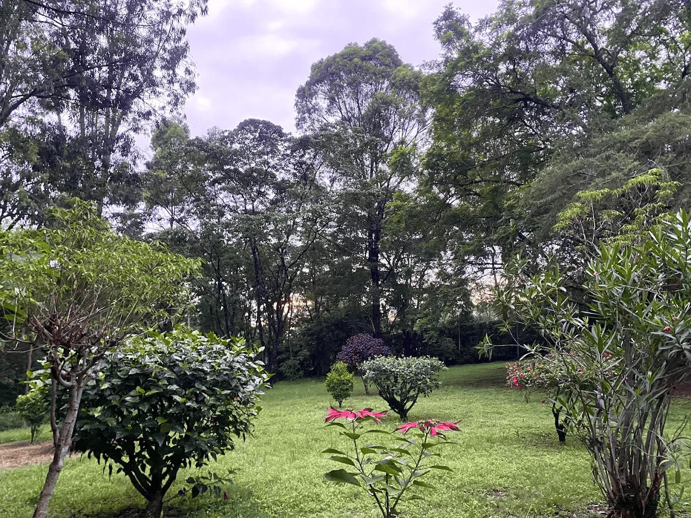 Make New Friends @ Paint and Mingle 