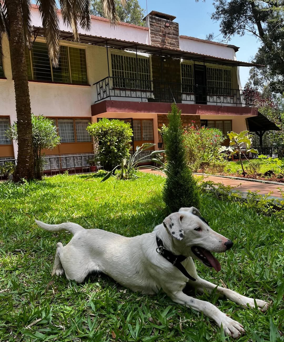 Make New Friends @ Paint and Mingle 