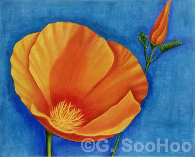 Large Poppy - Original Acrylic Painting