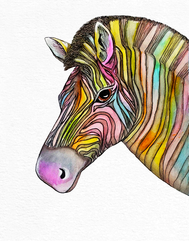 Colorful Watercolor Zebra Painting - Giclee Prints
