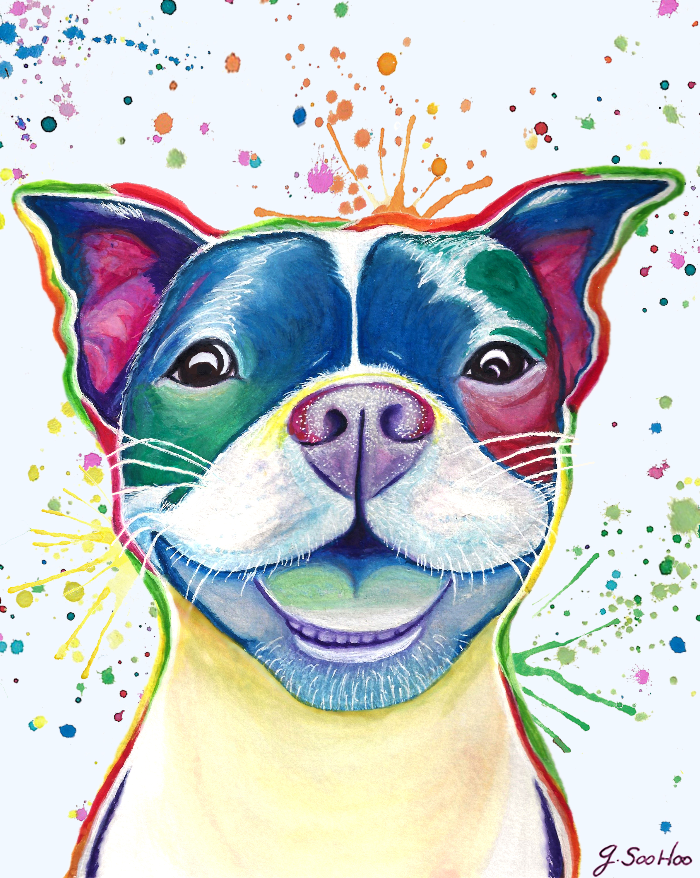 Colorful Smiling Boston Terrier Dog Watercolor Painting - Giclee Prints