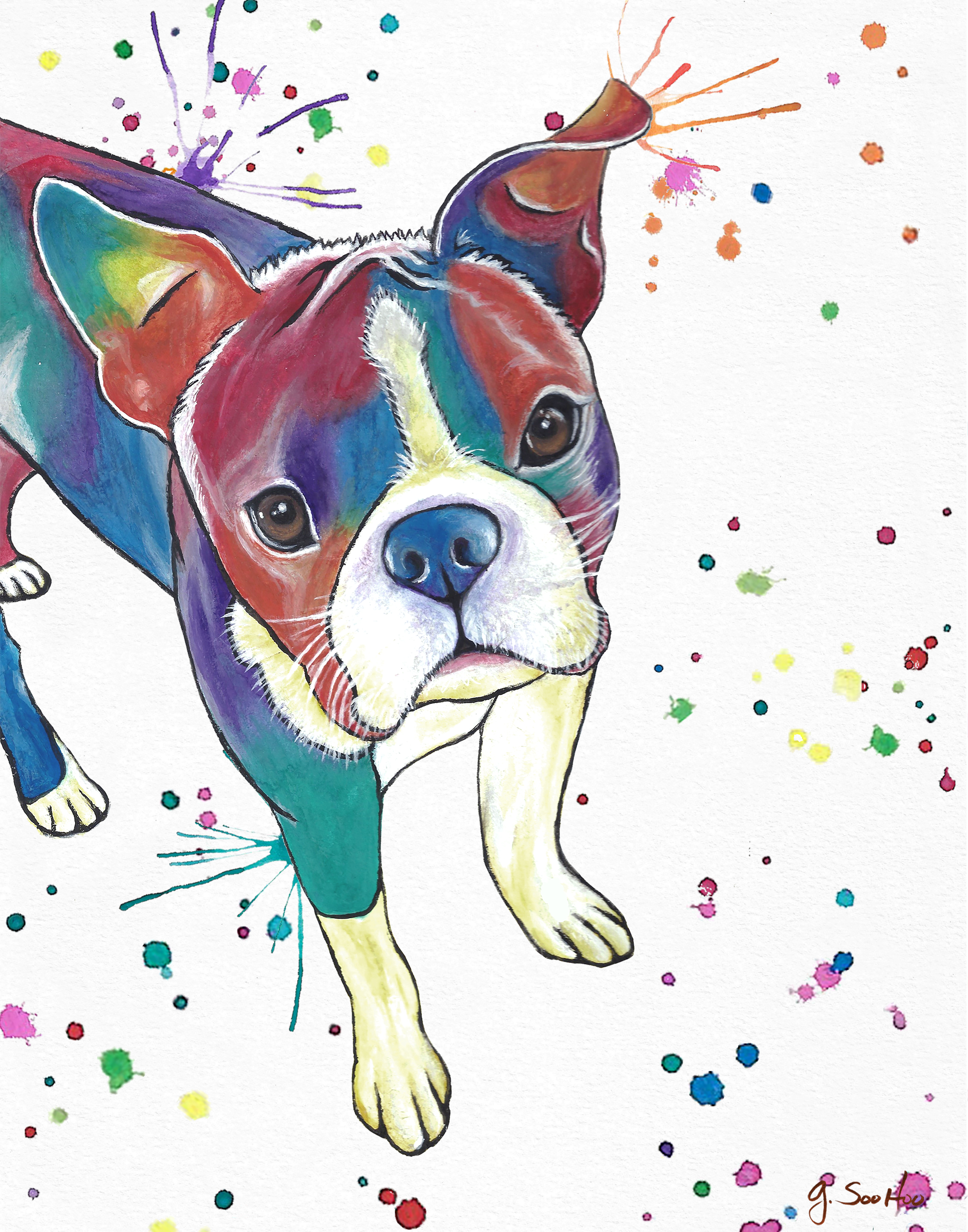 "Raider" Colorful Boston Terrier Dog Watercolor Painting - Giclee Prints