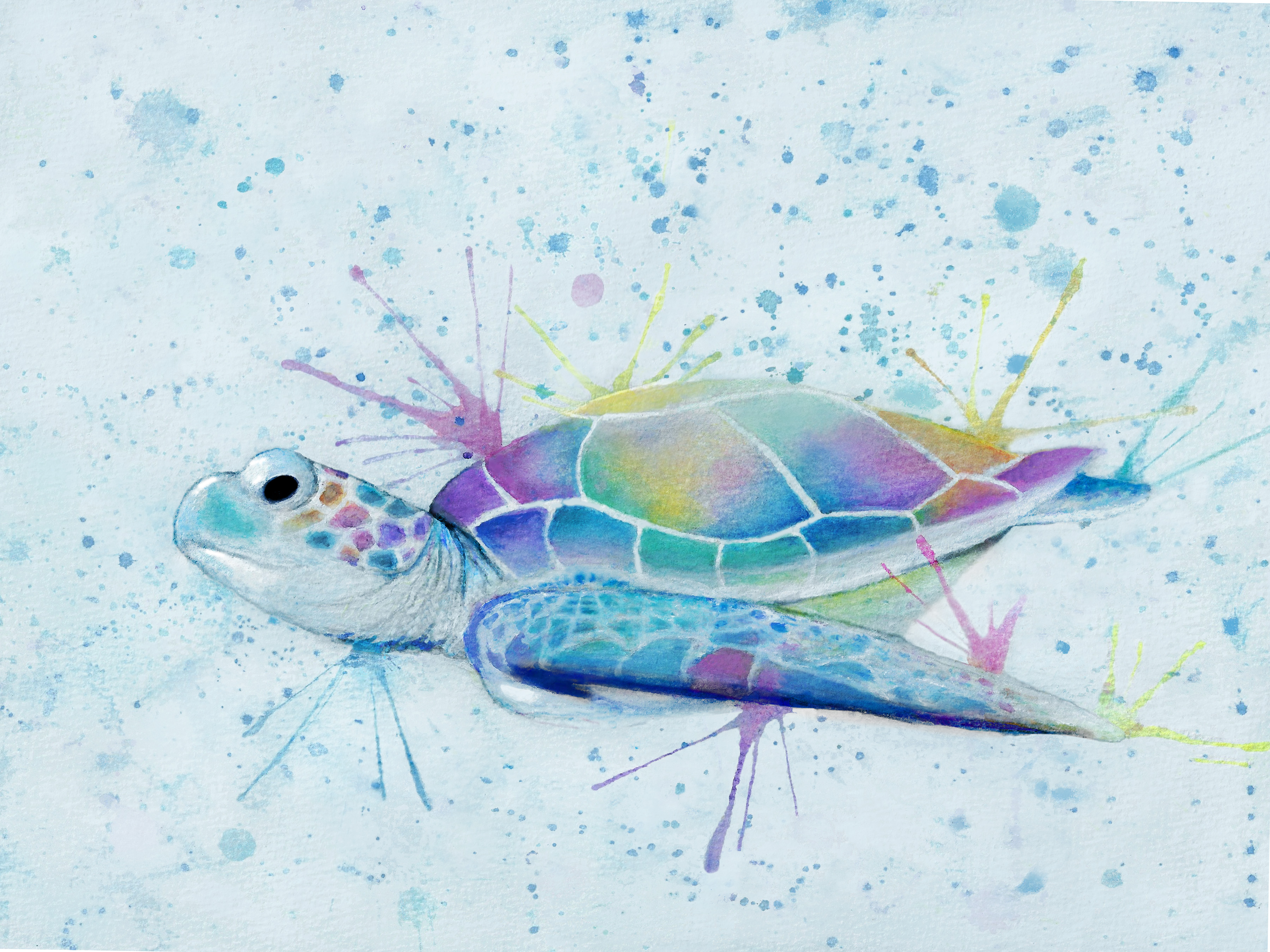 Hand-Painted Vibrant Sea Turtle Art