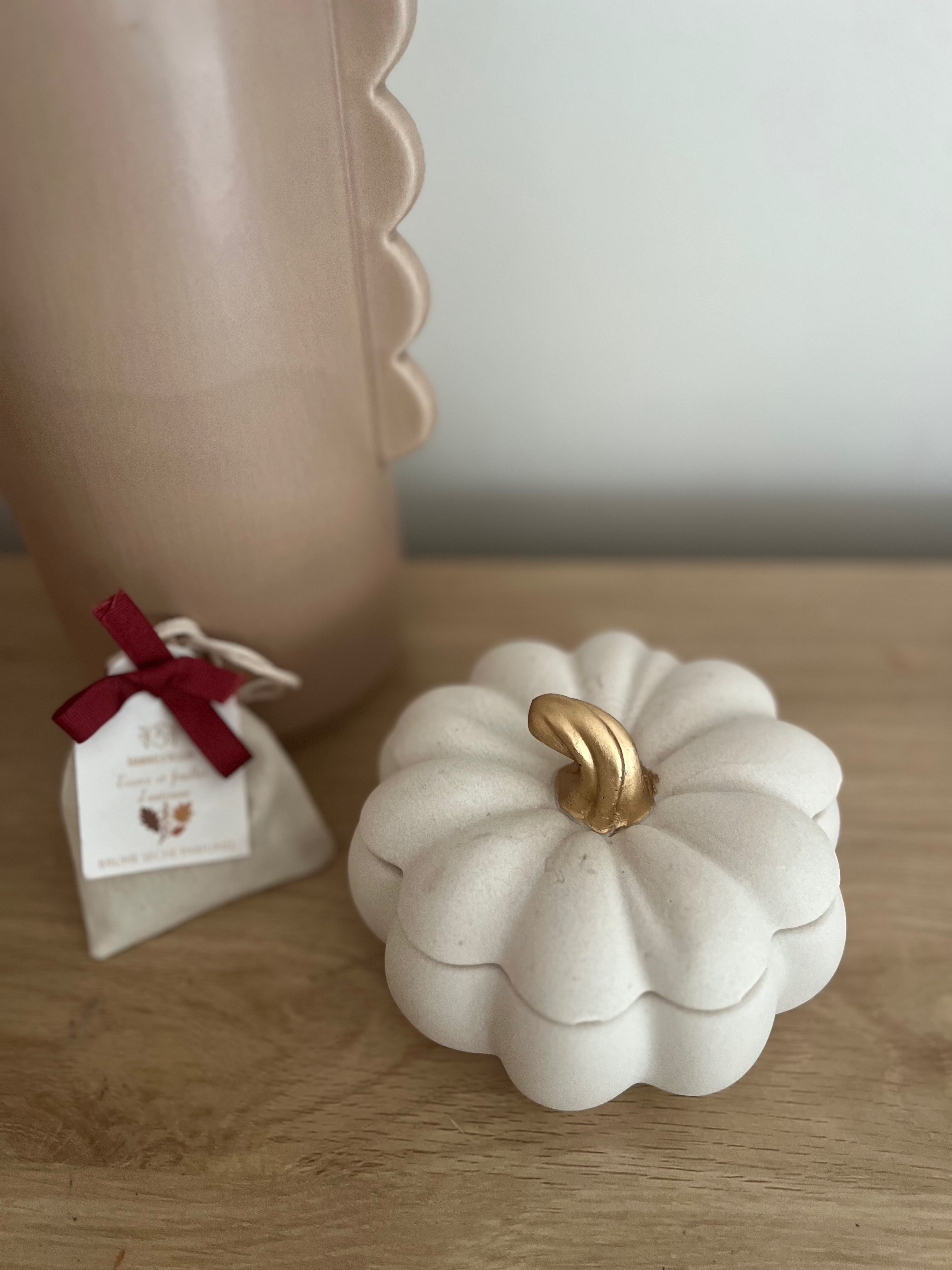 Citrouille d'automne - Caramel et Myrtille - 320g  