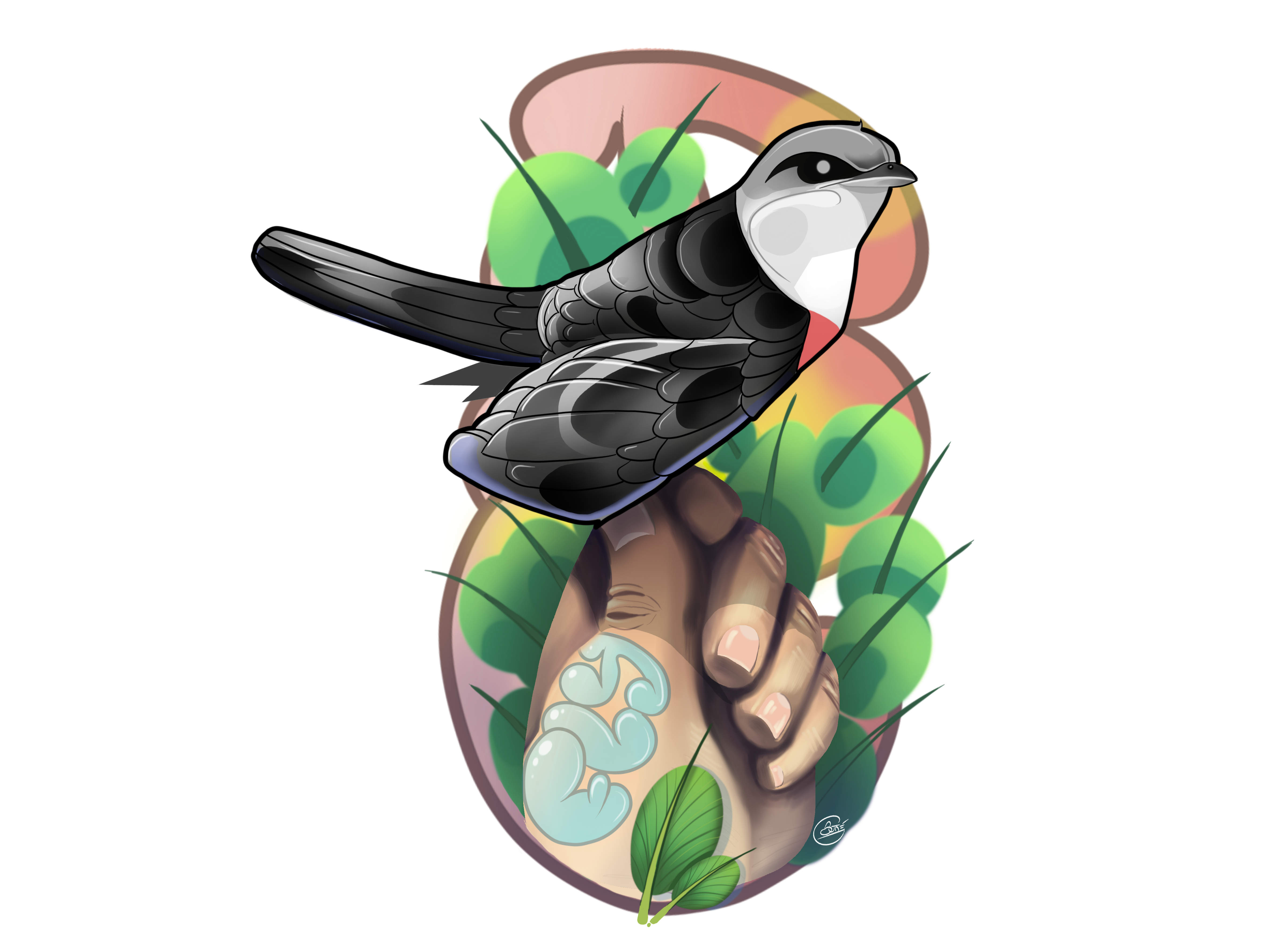 BIRD