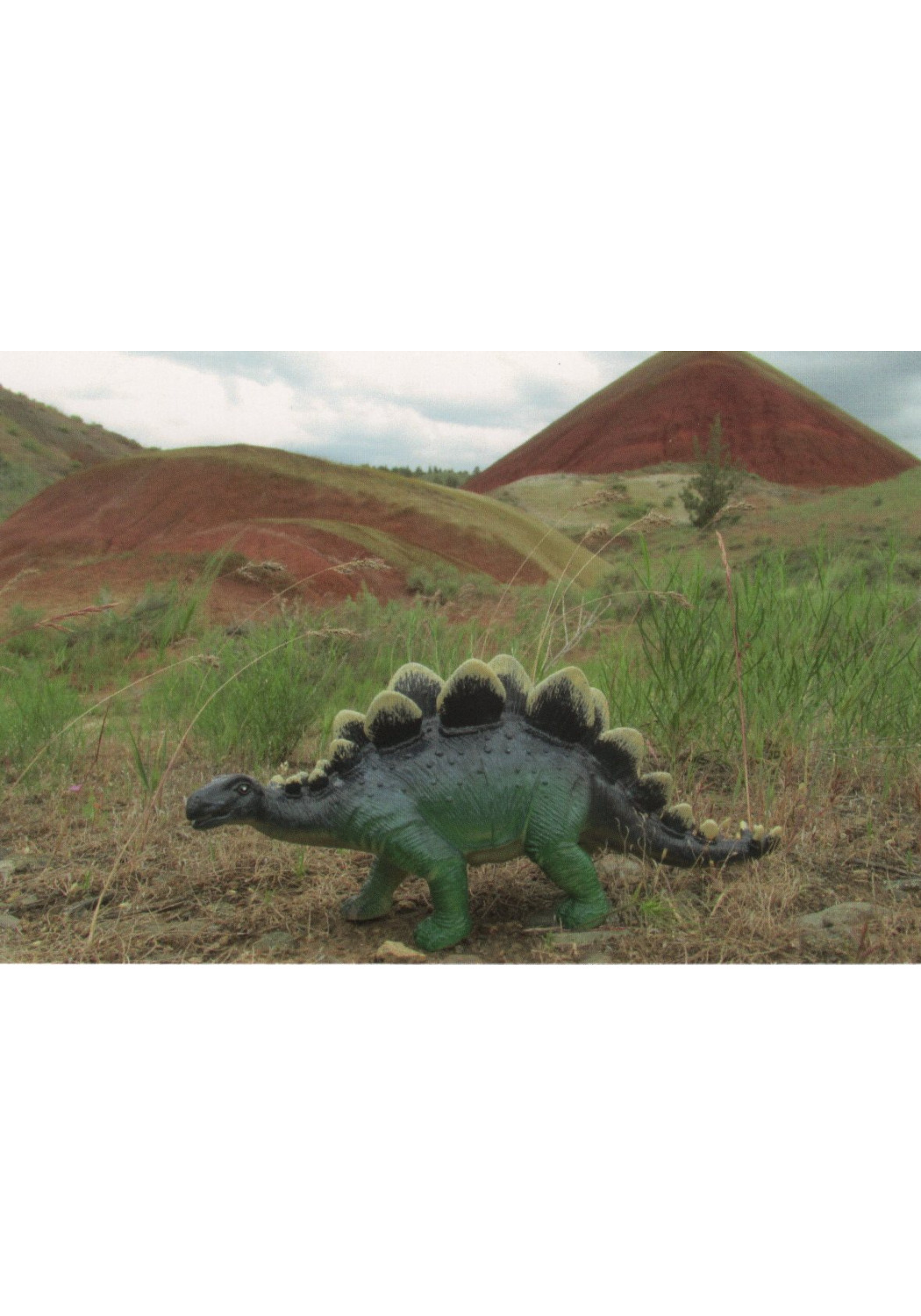 Stegosaurus - Painted Hills