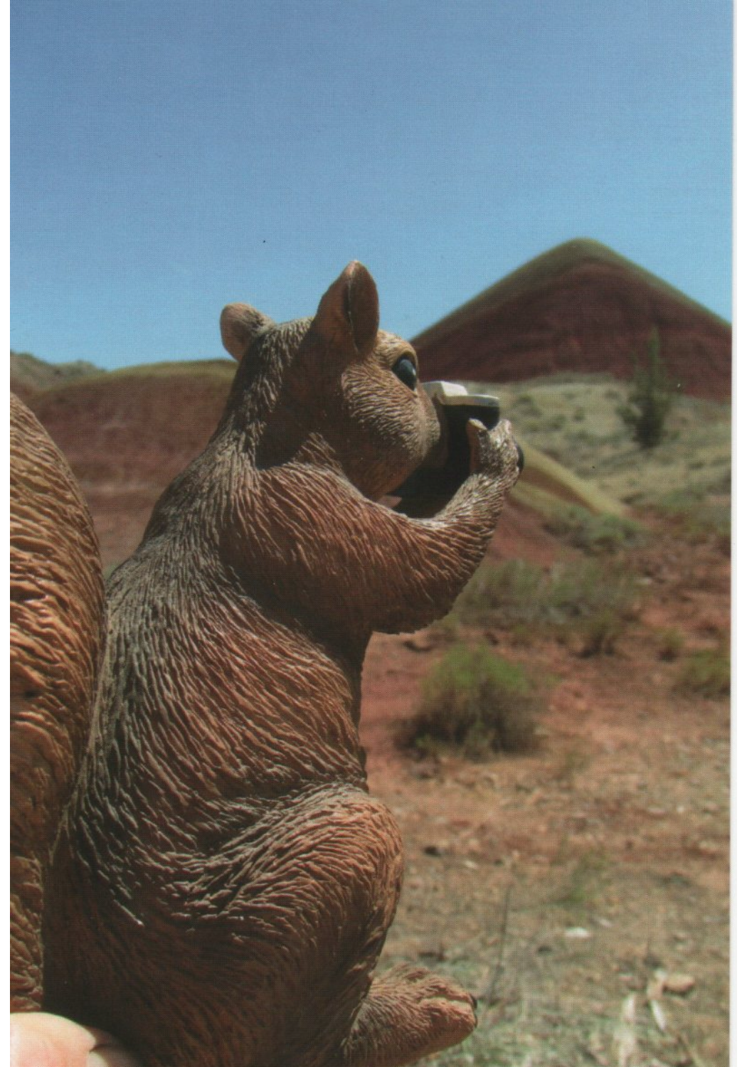 Squirrel Tourist at Painted Hills