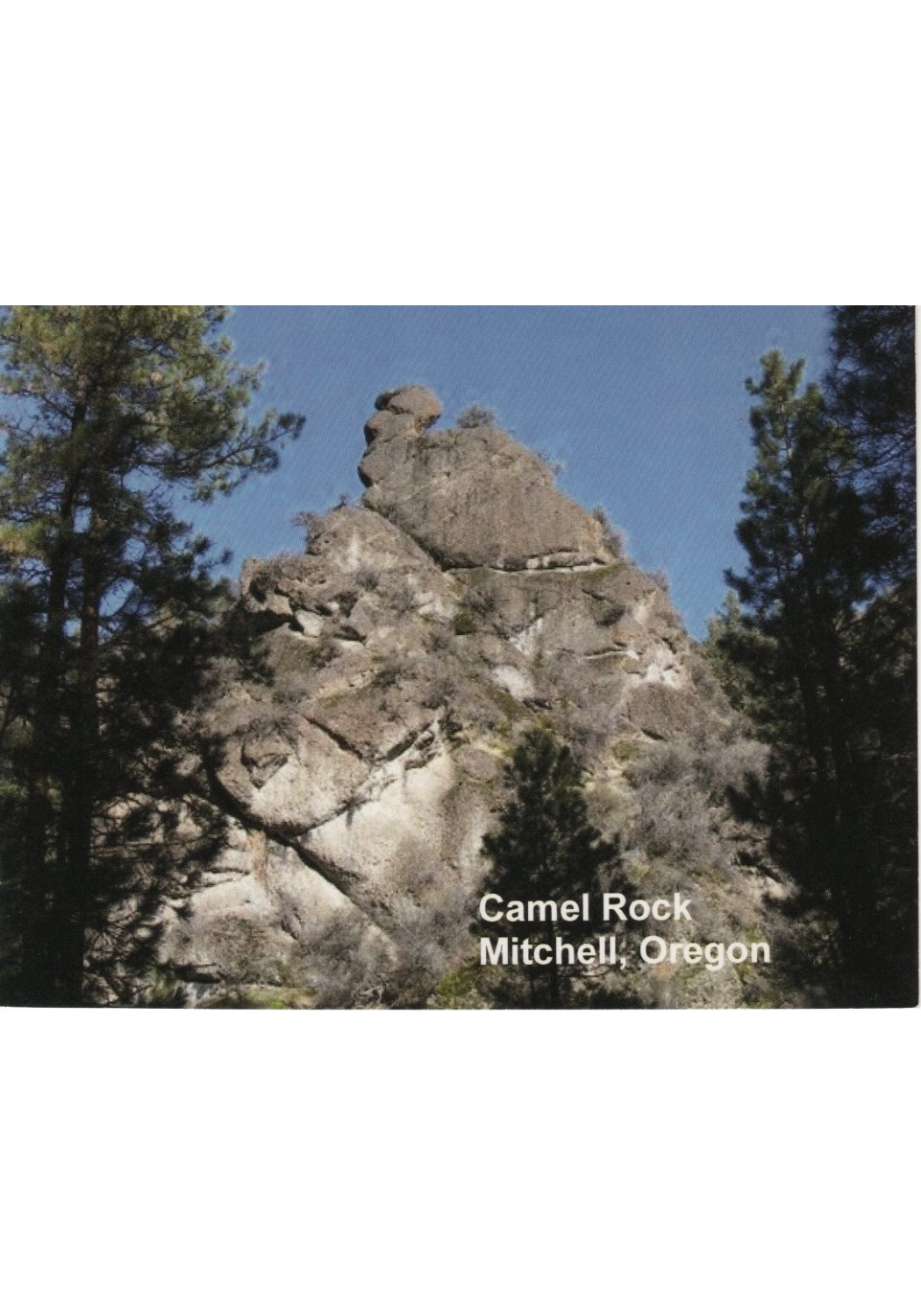 Camel Rock
