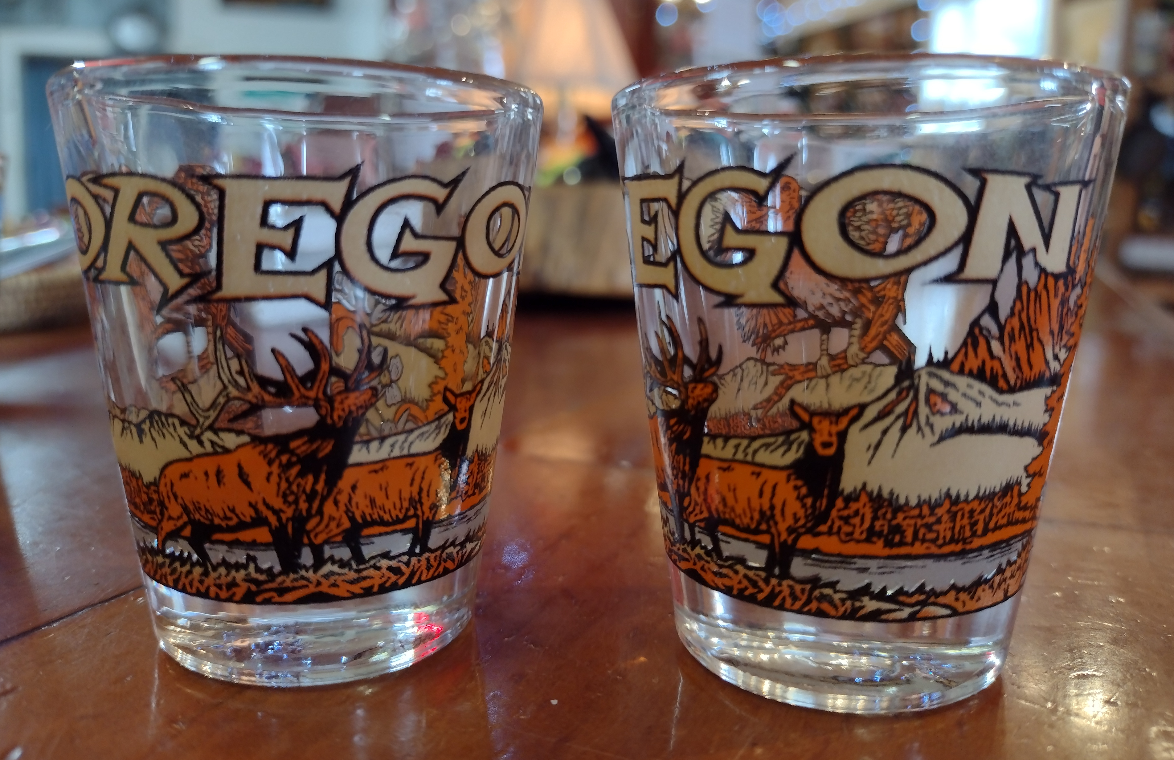 Orange Oregon Shot Glass