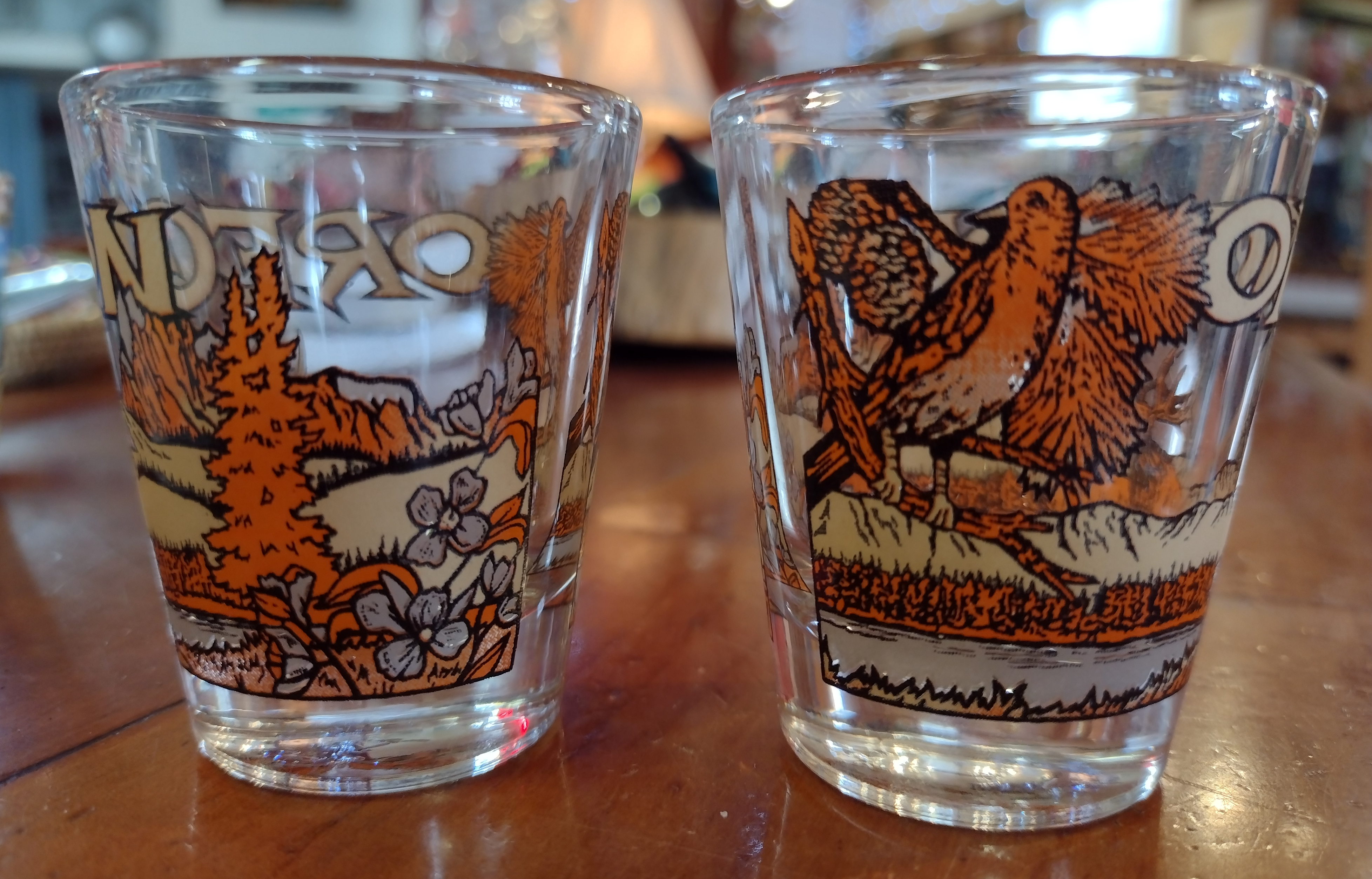 Orange Oregon Shot Glass