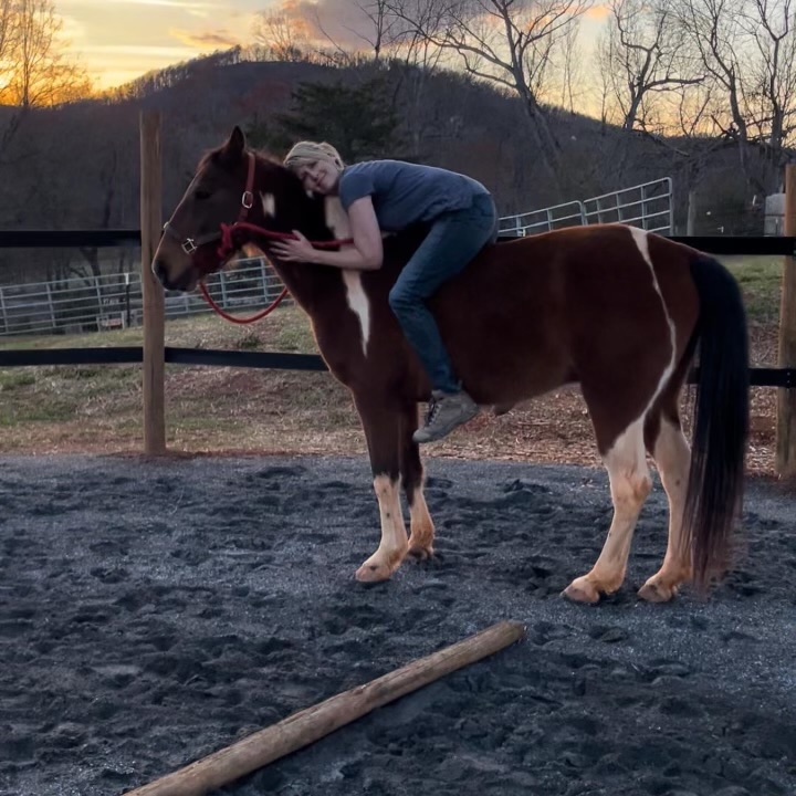 Healing with Horses - Full Day