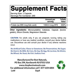 Best Naturals Folic Acid 240 ct