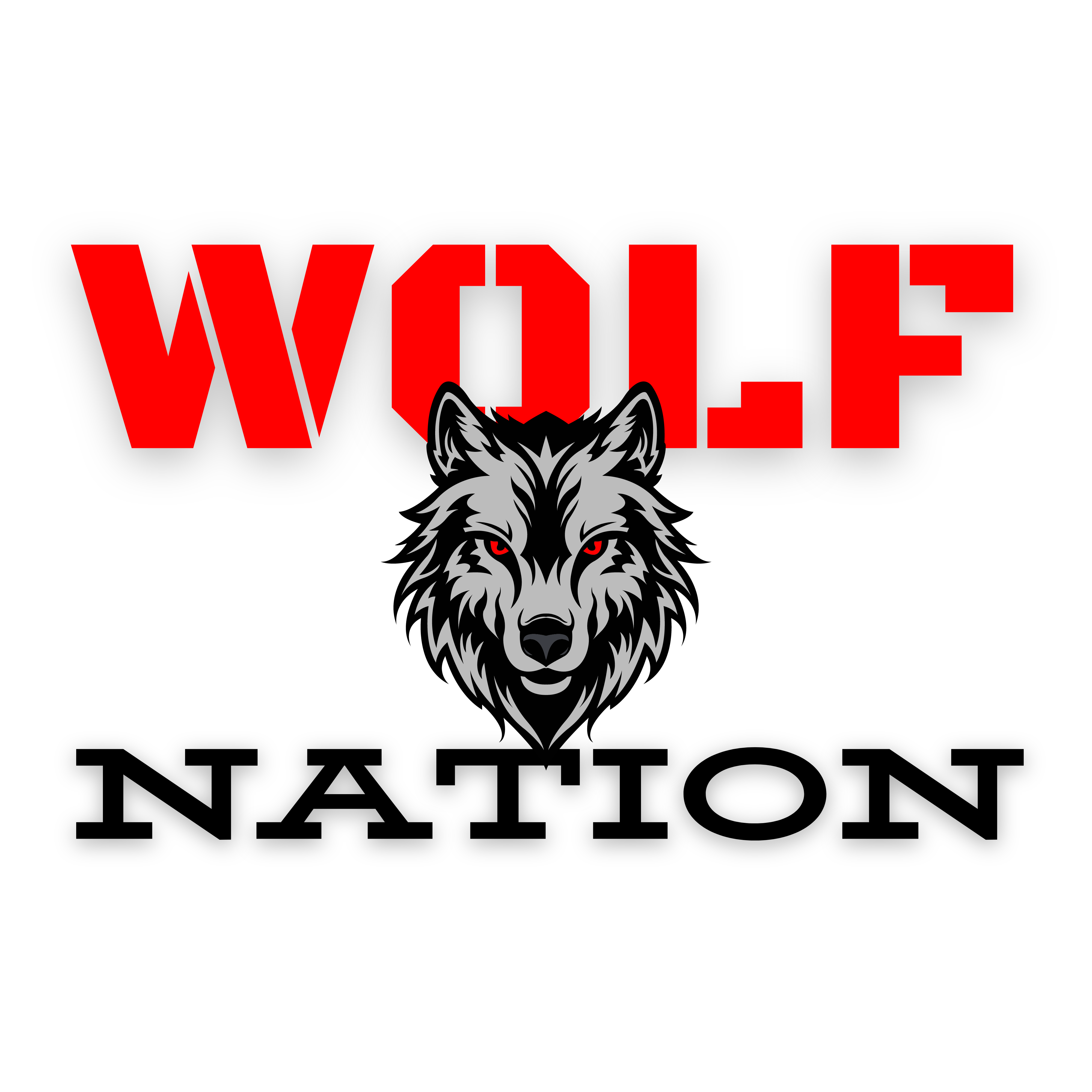 GRAPHIC SHIRT - PRE-MADE - ASST. DESIGN 