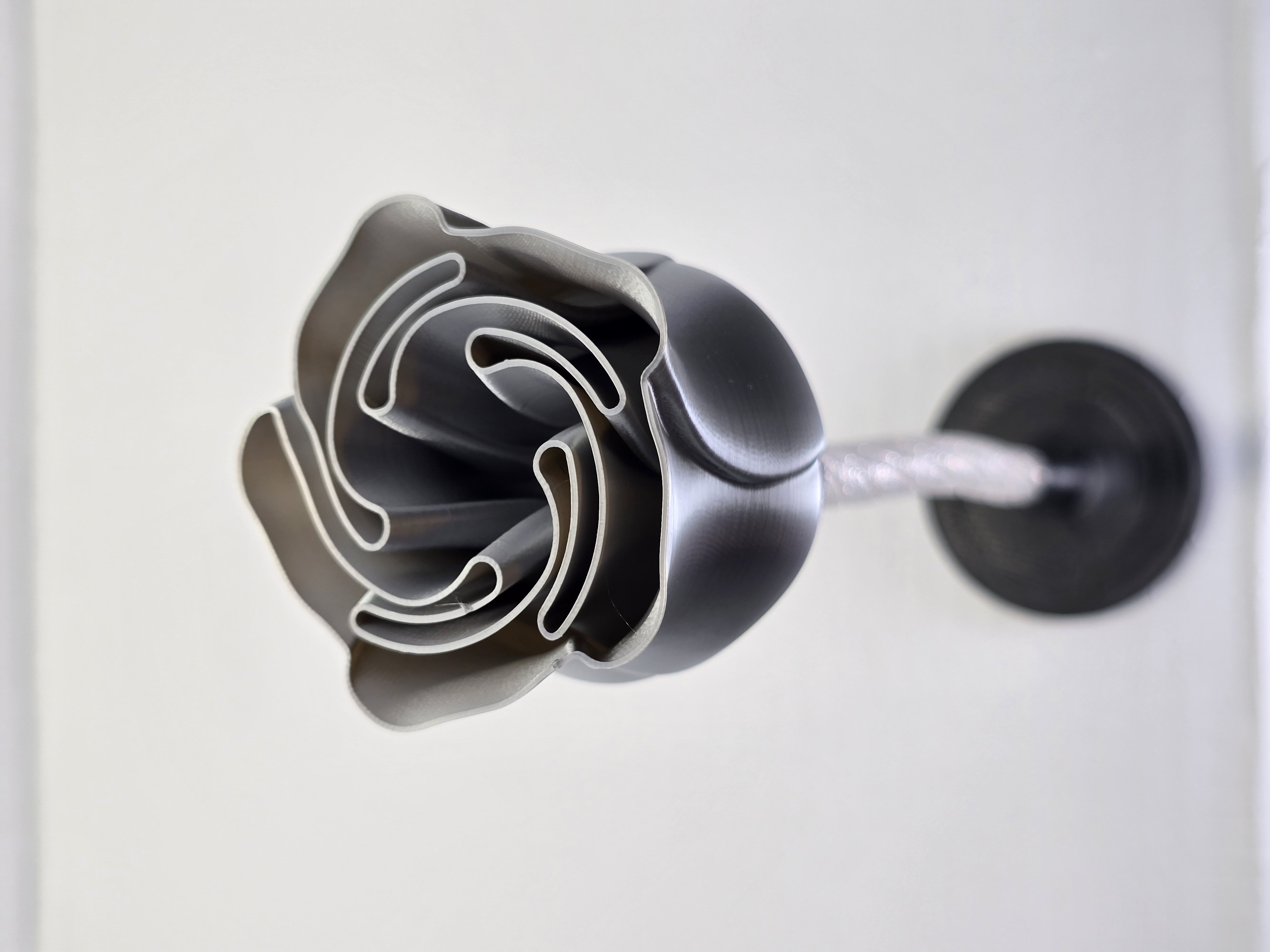 Forever Rose