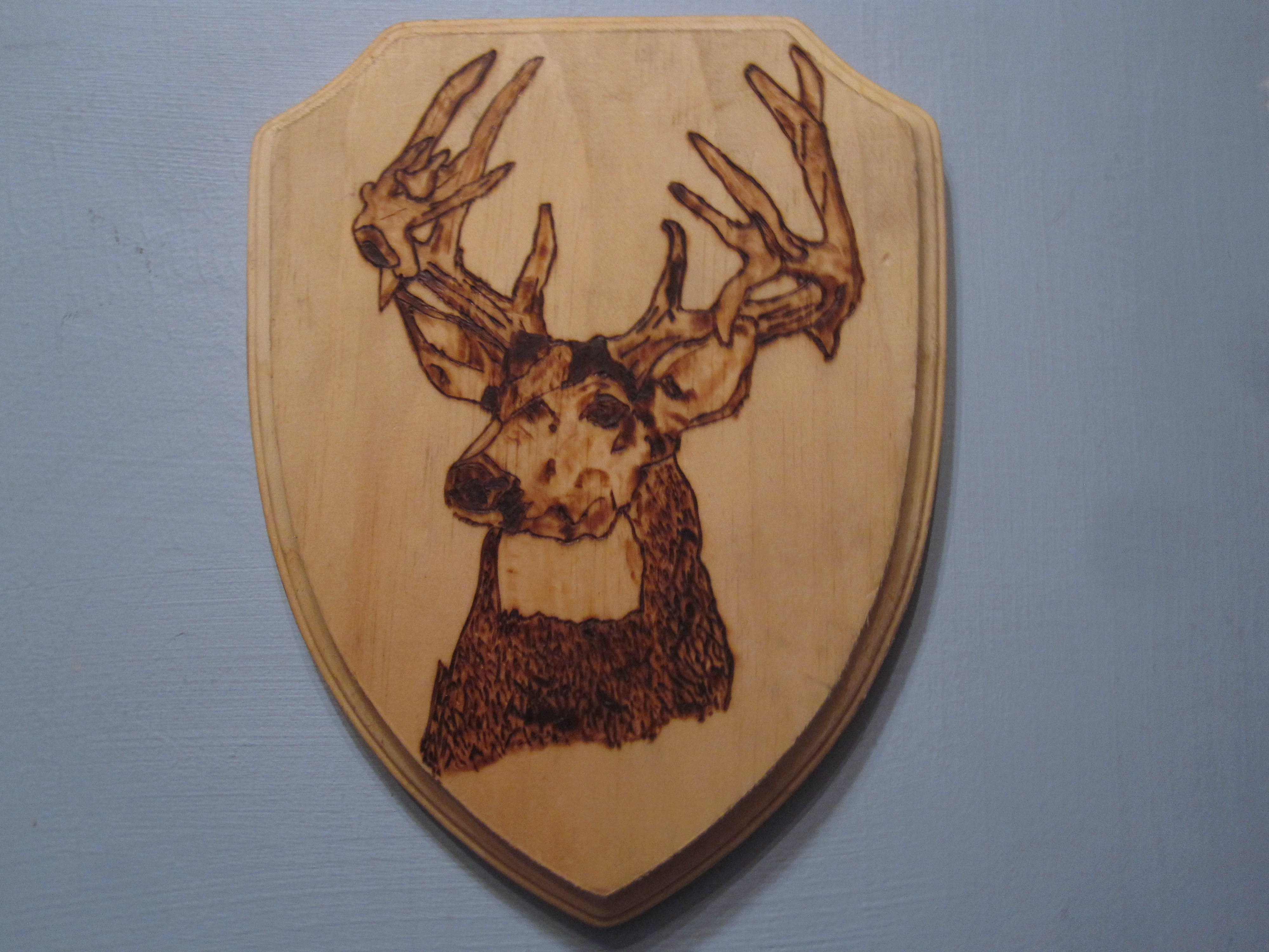 Trophy Stag woodburned plaque 