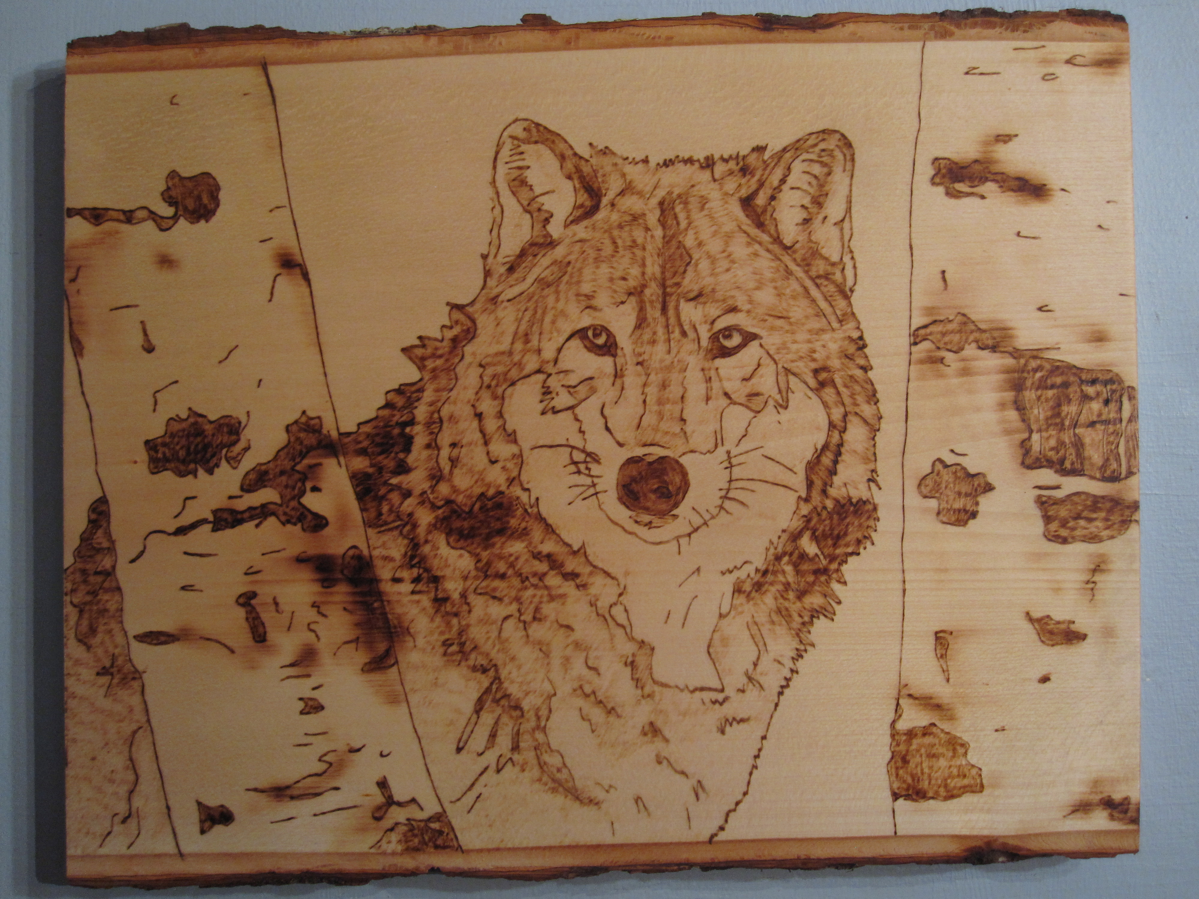 Winter Wolf woodburned plaque