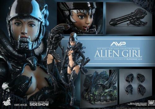 Hot Toys HAS 02