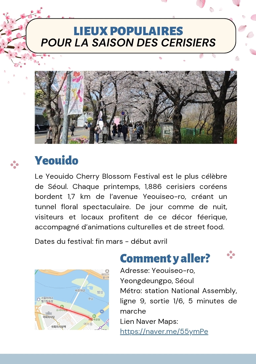 Ton Guide Ultime pour Voyager en Corée du Sud 