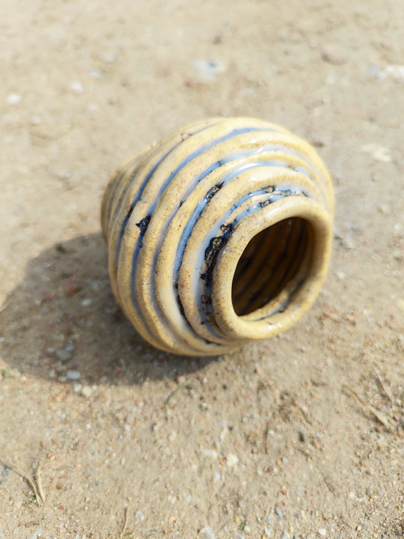 Kalabasa "Pirmoko darbas"