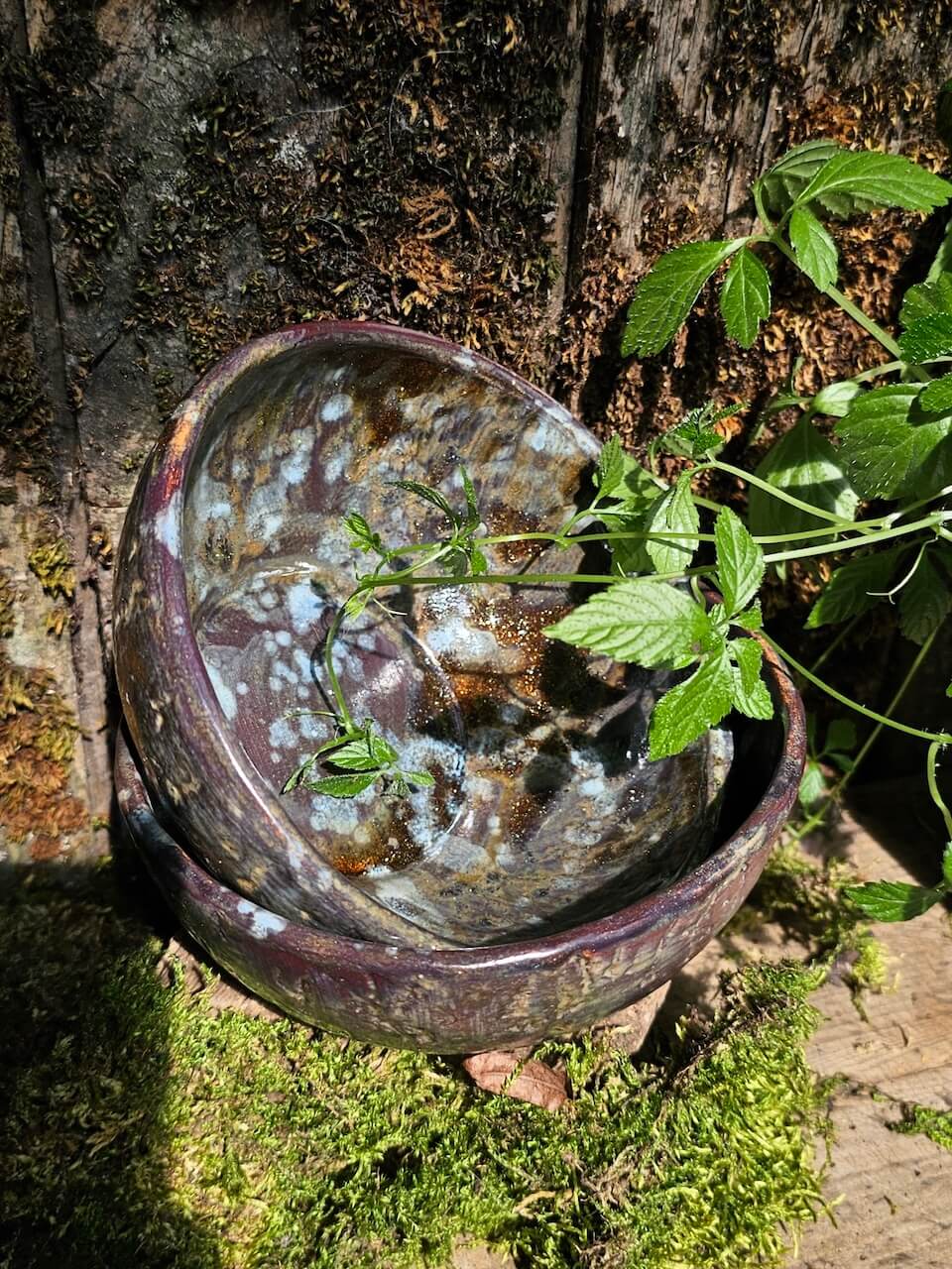 Dviejų Dubenėlių rinkinys "Miško pelėsiai"