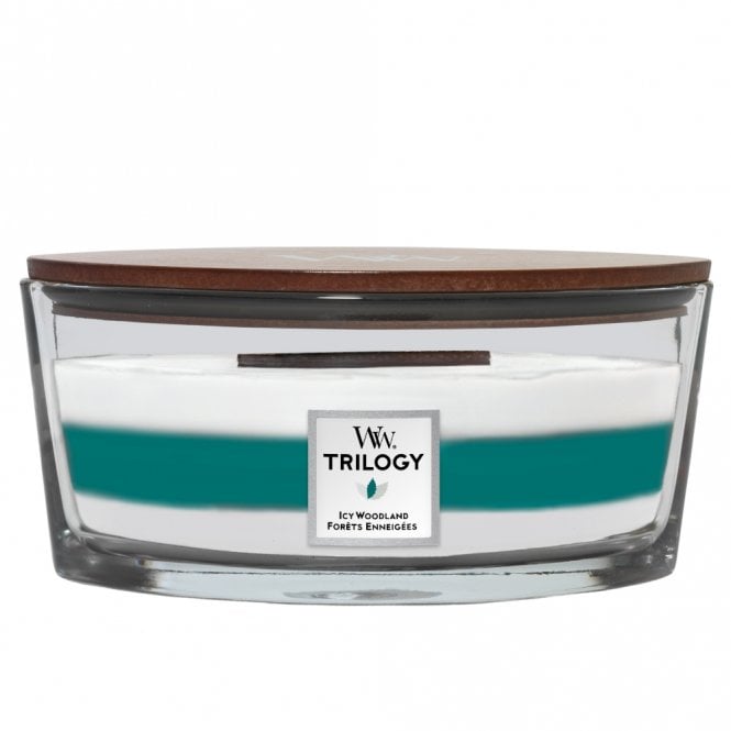 Woodwick Trilogy Icy Woodland Ellipse Jar candle