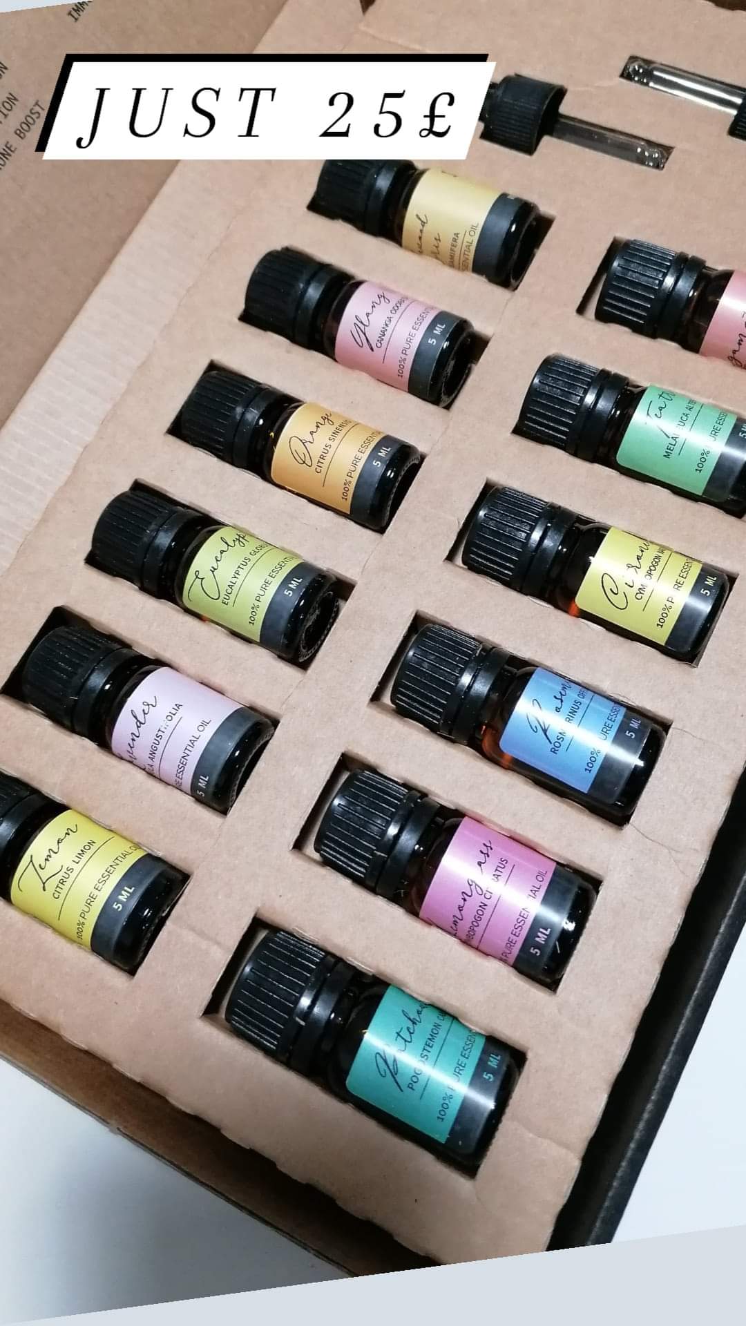 Aromatherapy Essential Oil Set-The Top 12