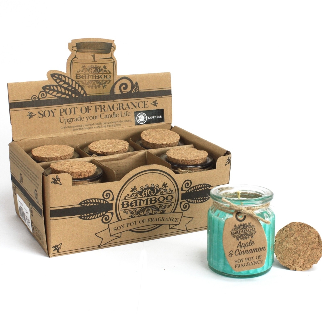  Apple & Cinnamon Soy Pot of Fragrance Candles    