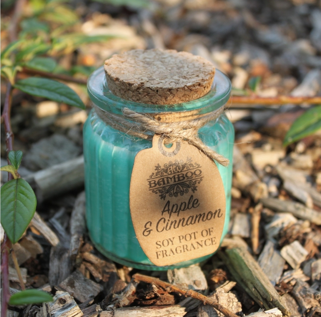  Apple & Cinnamon Soy Pot of Fragrance Candles    
