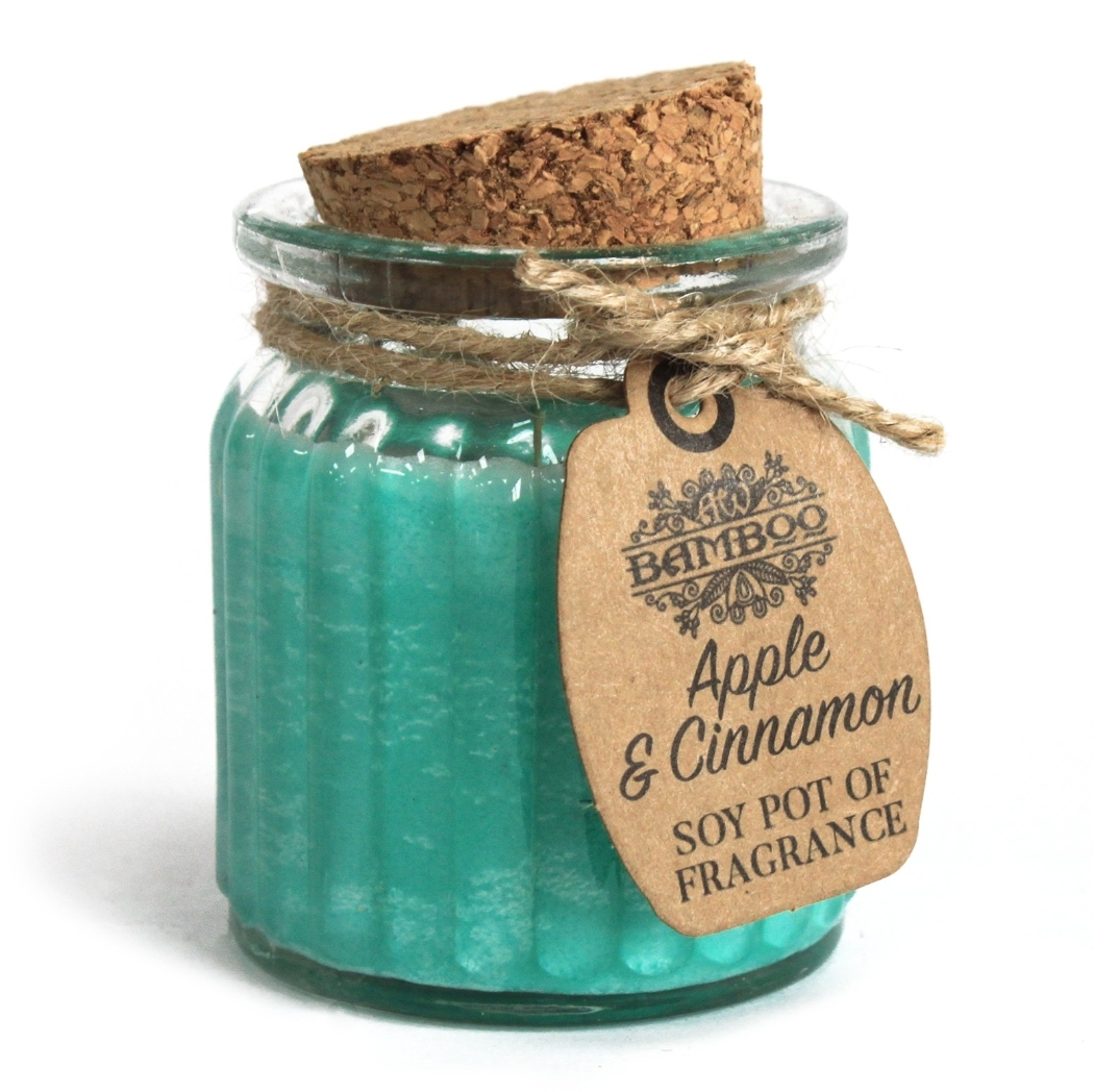 Apple & Cinnamon Soy Pot of Fragrance Candles