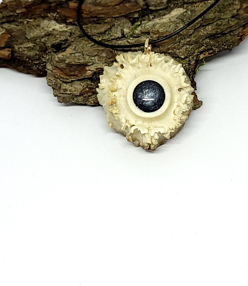 Kaklo papuošalas / Necklace