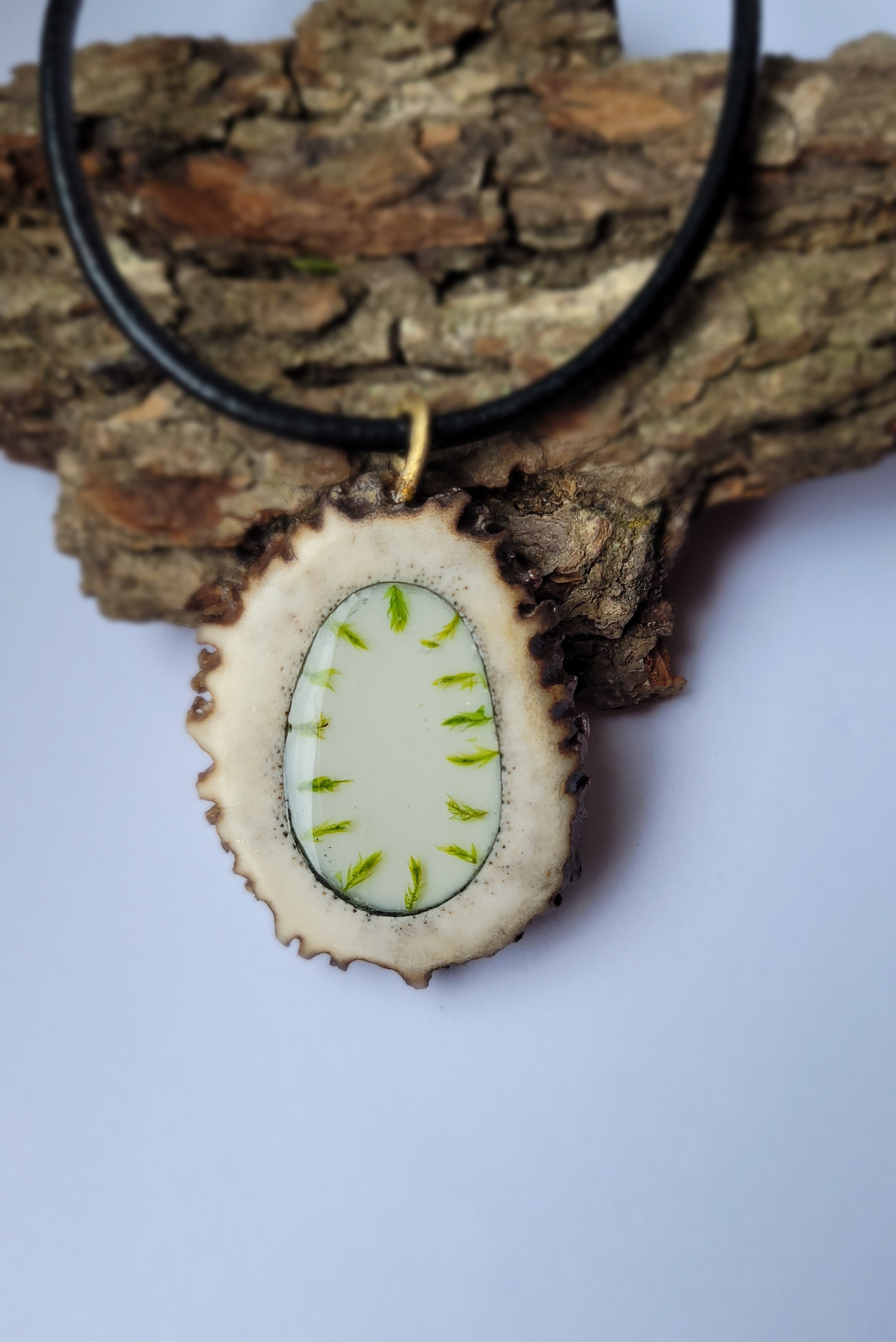 Kaklo papuošalas / Necklace