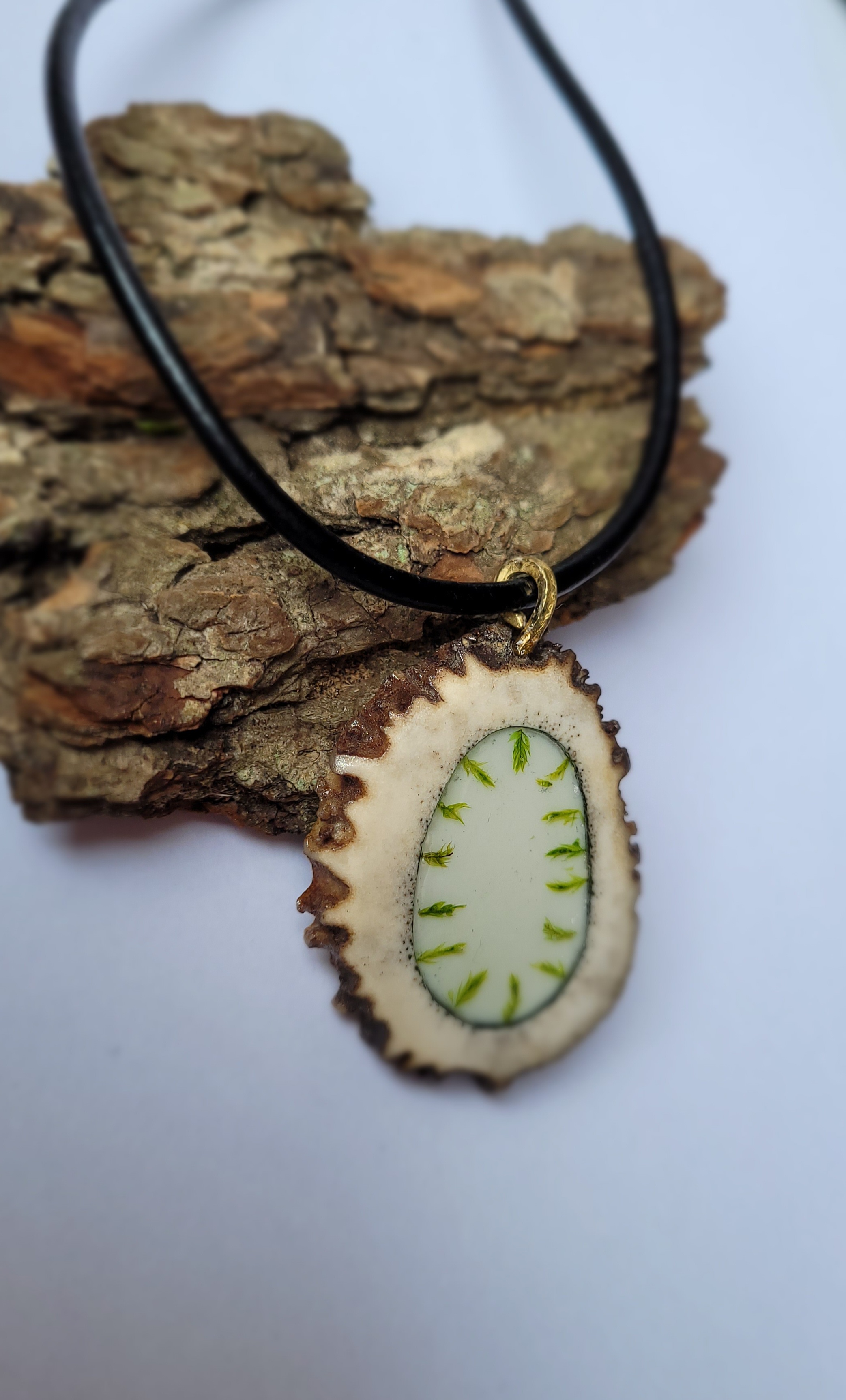 Kaklo papuošalas / Necklace