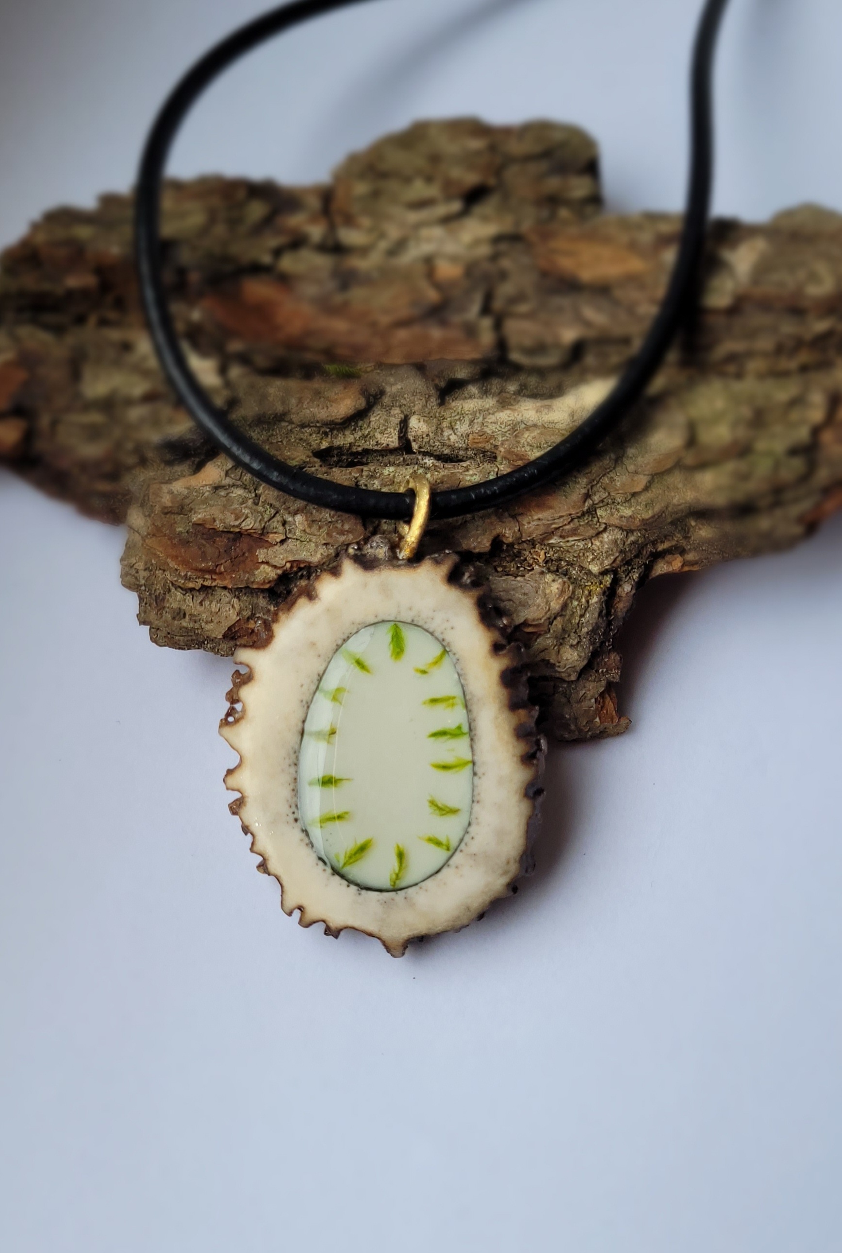 Kaklo papuošalas / Necklace