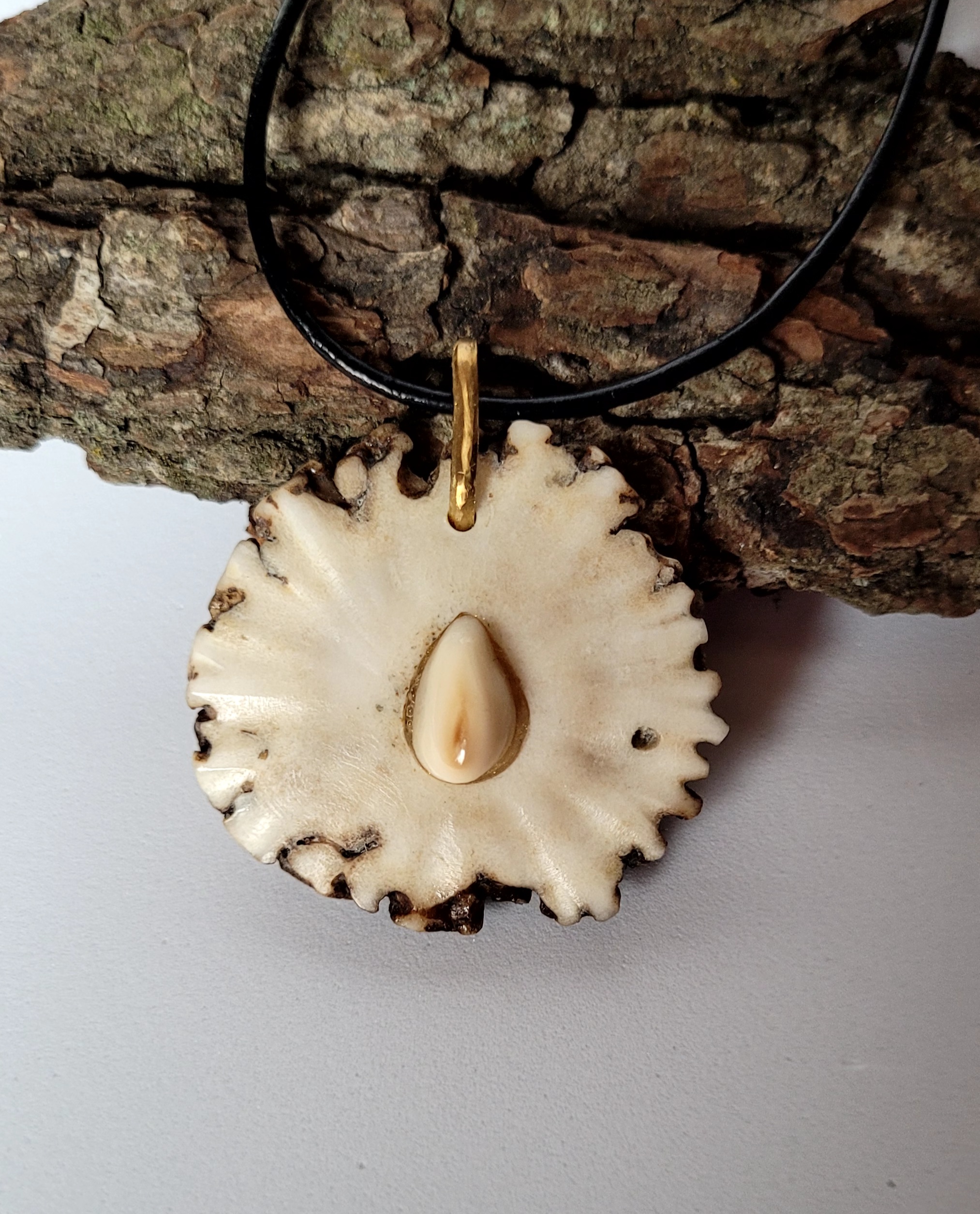 Kaklo papuošalas / Necklace