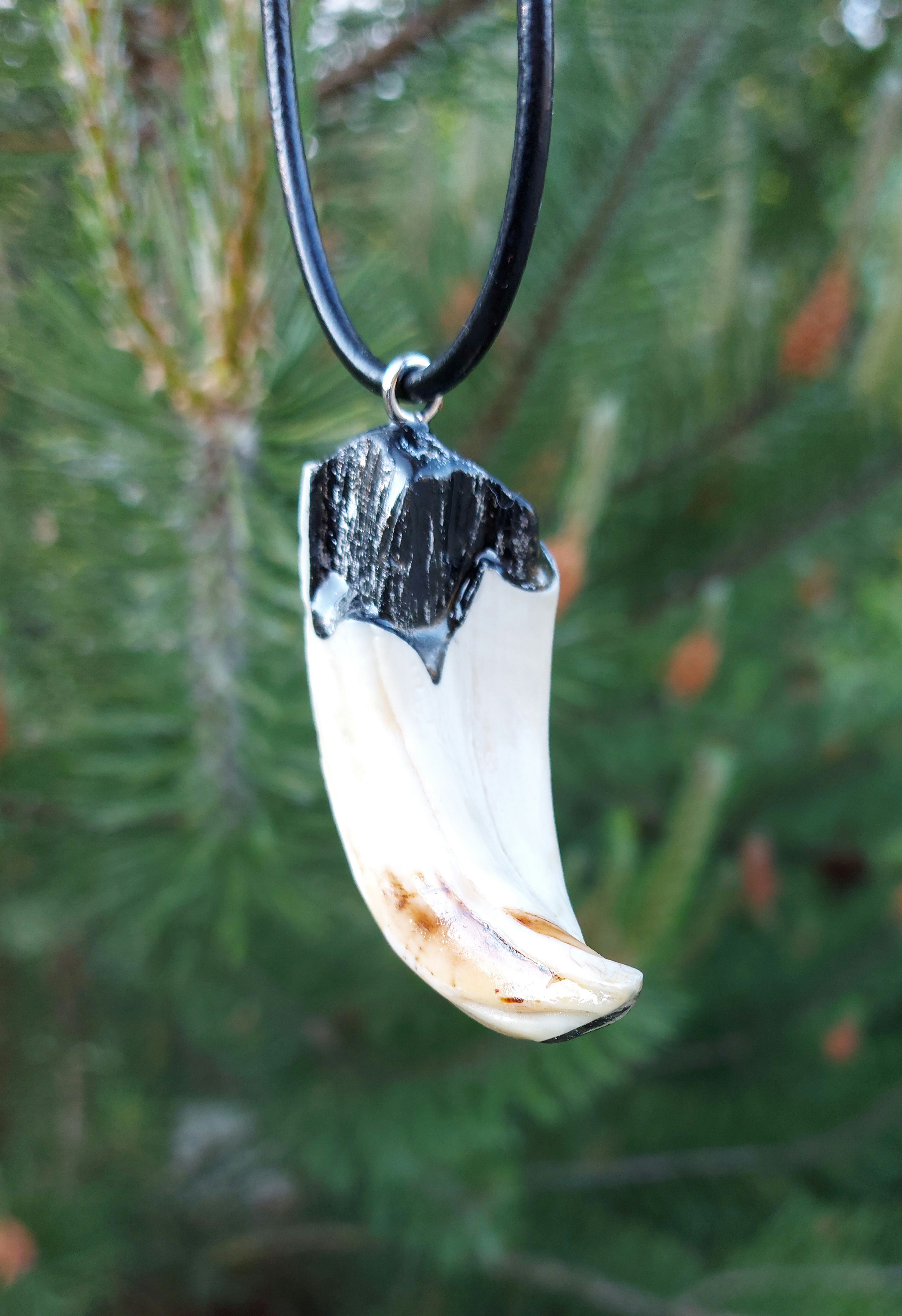 Kaklo papuošalas / Necklace