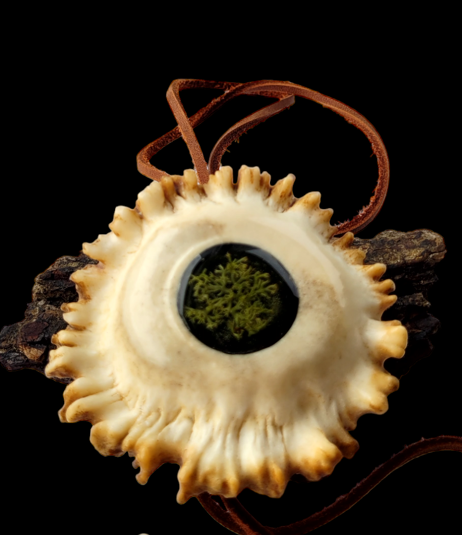 Kaklo papuošalas / Necklace